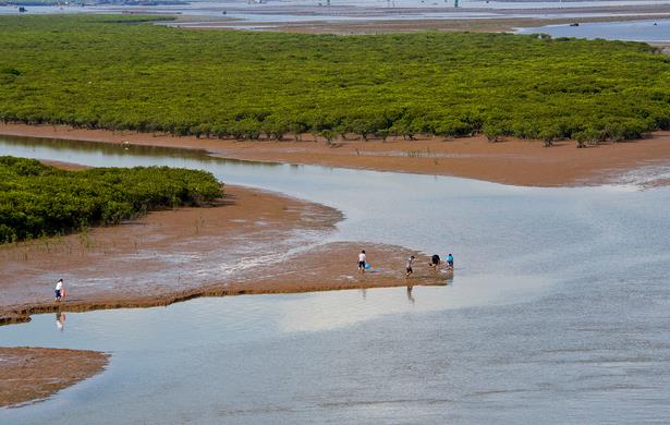 钦州茅尾海:54个污水口直排染黑了钦江